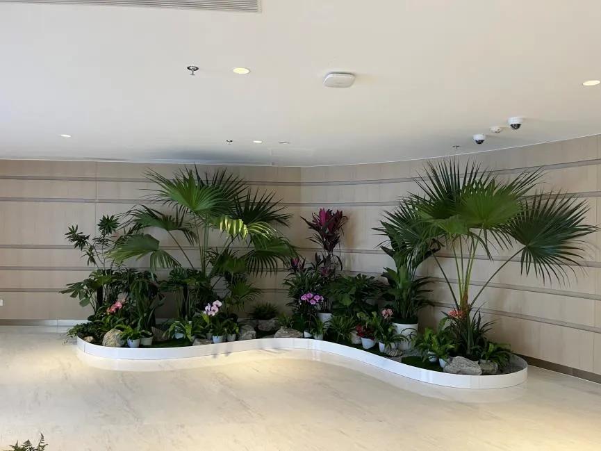 海曙绿植租赁价格